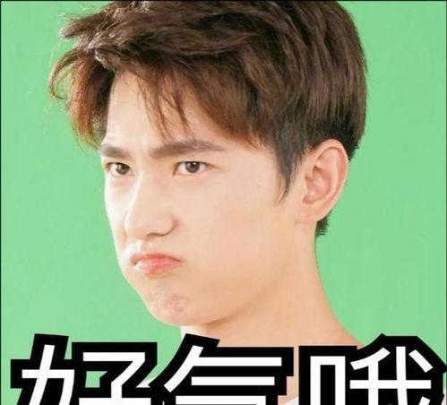 娱乐圈吃瓜少女张小寒,揭秘“吃瓜少女”张小寒的瓜界传奇